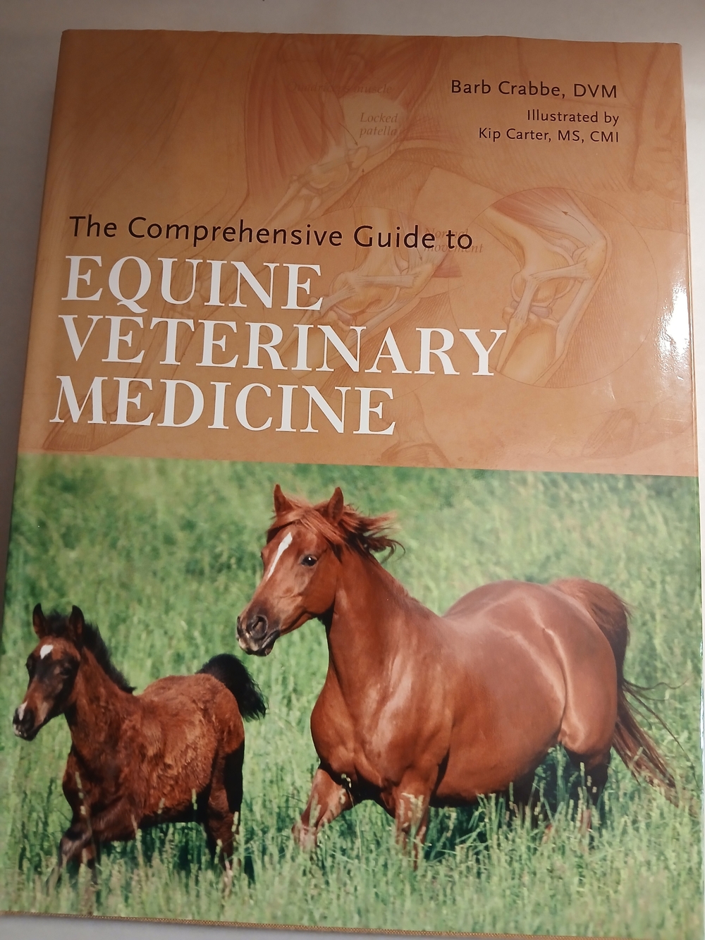 The Comprehensive Guide To Veterinary Medicine Book